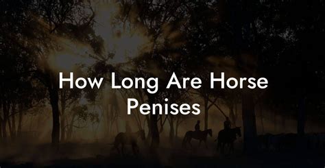 horse cock facts|How Long Are Horse Penises